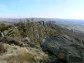 The Roaches